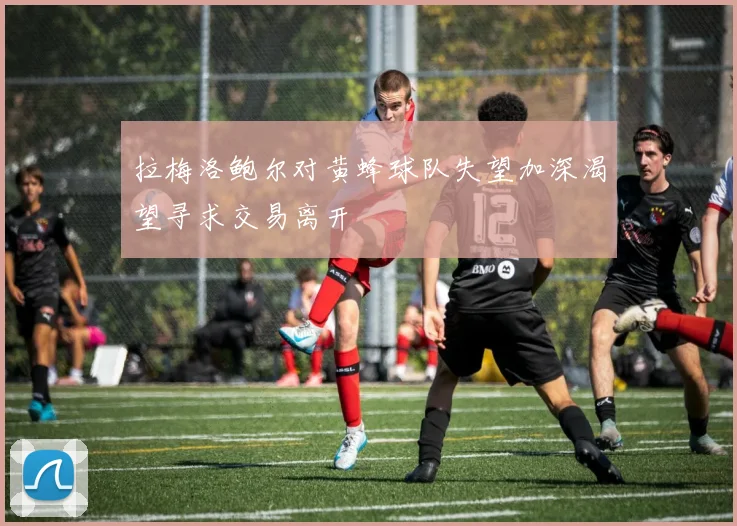 拉梅洛鲍尔对黄蜂球队失望加深渴望寻求交易离开