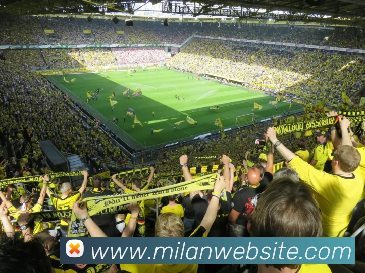 App Interface Preview