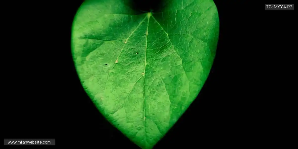 从赛场到生活,热爱不止!🎯 个性周边,让运动精神融入日常!